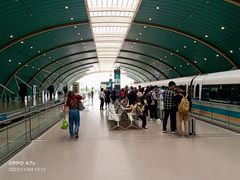 -龙阳路磁悬浮列车总站-停车场