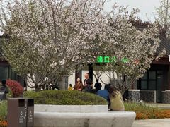-山水雅居·江南雅宴(运河公园店)