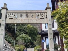 -十八棵（老龙井）御茶园(老龙井店)