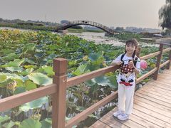 -白洋淀景区