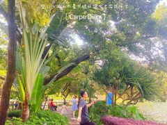 -晓港公园