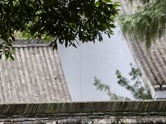 -青羊宫