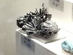 -天津自然博物馆