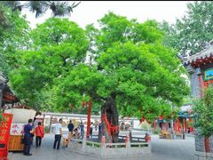 -杨家埠民间艺术大观园