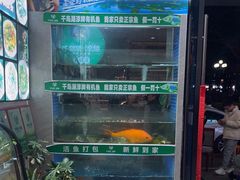 -全乐鱼馆·淳牌有机鱼直营店