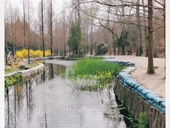 -白水寺森林公园