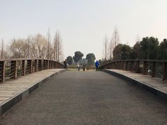 -九里河湿地公园