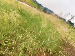 -三岔湖景区