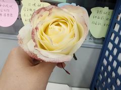 -海底捞火锅(名门店)