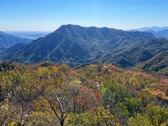 -大岭沟猕猴桃谷风景区