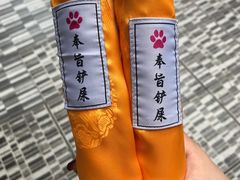 -猫咪博物馆(顶澳仔猫街店)