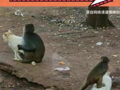 -昆明动物园