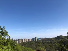 -富斯特索道