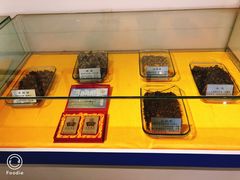 -上海昆虫博物馆