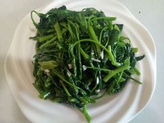 -煲来饱去冷水鱼