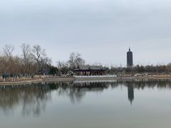 -西海子公园