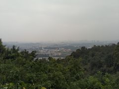 -火炉山森林公园