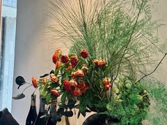 -Fuzzy Bistro 浮几韩餐·茶酒馆