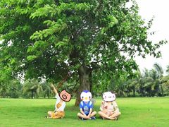 -白沙门生态公园