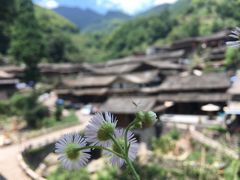 -林坑古村落