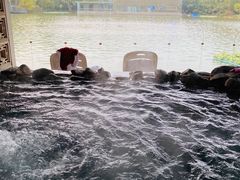 -春晖园度假酒店温泉