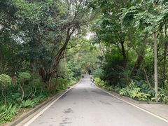 -白云山风景名胜区