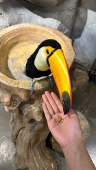 -Zoolung Zoolung动物主题公园(海信广场店)