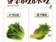-优护佳医护级月嫂(和睦家浦西店)