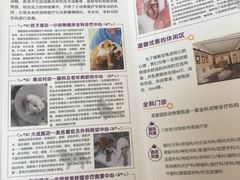 -宠爱国际动物医院·消化内科·心肾内科·ISFM猫友好(望京店)