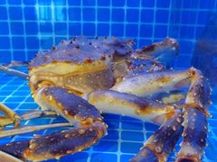 -森味薪火烧•烧鸟居酒屋•日本料理(望京店)
