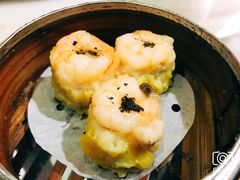 -糖朝(尖沙咀店)