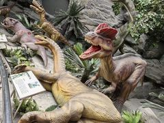 -国家自然博物馆