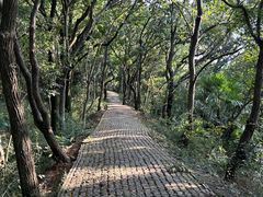 -苏州上方山国家森林公园