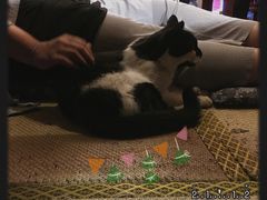 -樱の花亭日本料理店