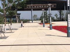 -九里湖国家湿地公园