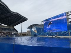 -上海海昌海洋公园