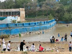 -青龙湖公园