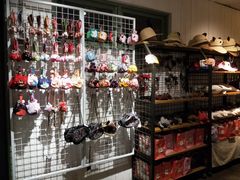 -猫咪博物馆(顶澳仔猫街店)