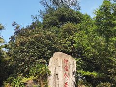 -广州市流溪河国家森林公园