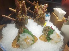 -芥末日本料理(打浦路铂尔曼旗舰店)