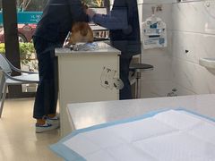 -萌兽医馆·宠物医院·猫骨科(创景店)