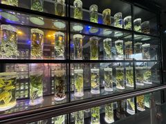 -广东中医药博物馆