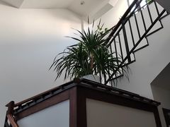 -光裕书厅·评弹茶馆·剧场(观前街店)