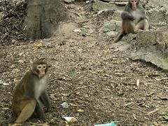 -黔灵山公园