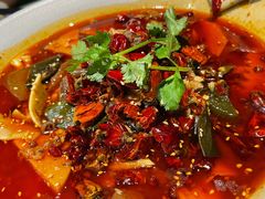 毛血旺-辛香汇·现炒川菜(淮海路百盛店)