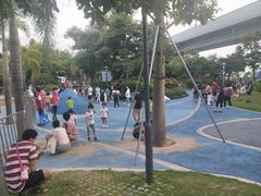 -宝安西湾红树林湿地公园