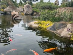 -罗红摄影艺术馆