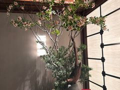 -四川大学(望江校区)