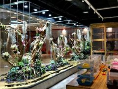 -趣陶陶艺手工坊(新世界百货重庆店)