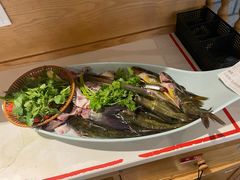 -老凯俚酸汤鱼(多彩城店)